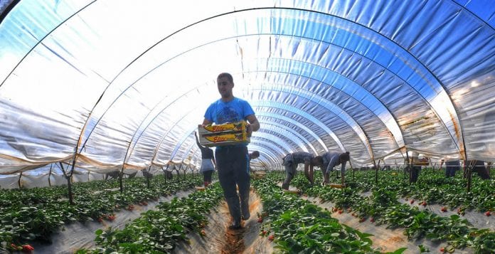 Σχέδια Βελτίωσης αγρότες νέο Ταμείο επικουρικής ασφάλισης serrespost.gr ΠΚΜ πληρωμή Λιβανός δόσης Αφαίρεση όρου: Νέα Γεωργία βιβλίων Νέοι Αγρότες ενστάσεων επιλαχόντες