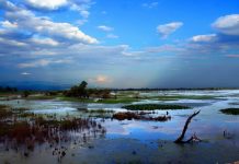 Παραλίμνιος καθαρισμός της Κερκίνης από νέους εθελοντές Κερκίνη