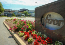 Pfizer: Οι ειδικότητες που αναζητά για το hub της Θεσσαλονίκης Pfizer