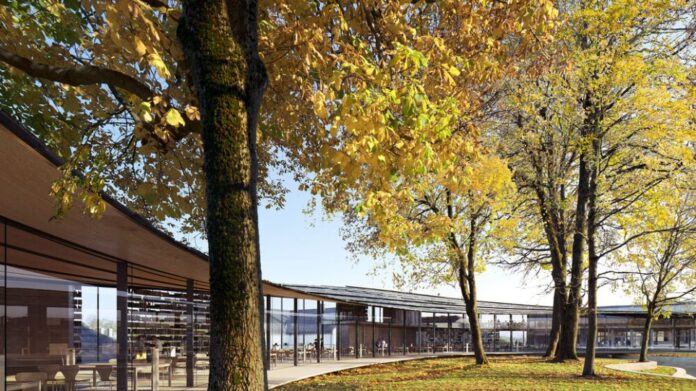 βιβλιοθήκη