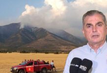 Παναγιώτης Σπυρόπουλος για την φωτιά στον Όρβηλο – Βίντεο Παναγιώτης Σπυρόπουλος για την φωτιά στον Όρβηλο