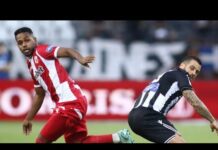 ΠΑΟΚ-Πανσερραϊκός 3-2: Ήττα μεν, πολύ καλή εμφάνιση δε για τα τα λιοντάρια