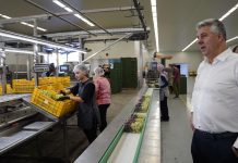 Περιφερειάρχης ΑΜΘ στο αμπελουργικό πεδίο των Ελευθερών