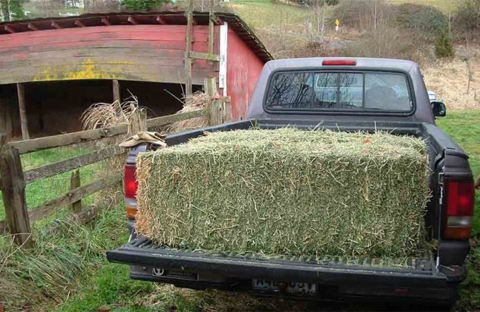 TRIFILI_2 ΤΡΙΦΙΛΙ