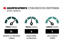 enisxisi
