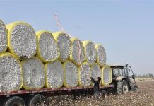 ∆ύσκολο ένα θαύµα για το βαµβάκι, χαμηλή ακόμη ζήτηση για εκκοκκισμένο. vamvaki