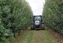 Η τελευταία καταβολή βασικής με δικαιώματα το 2025 agrot