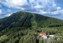 Δάσος Λαϊλιά ψηλά στην οροσειρά της Bροντούς Ο «θελξικάρδιος παράδεισος» των Σερρών lailias