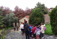 Σέρρες – Το Μουσείο ελιάς στον Ελαιώνα «ζωντάνεψε» και πάλι Σέρρες - Το Μουσείο ελιάς στον Ελαιώνα «ζωντάνεψε»