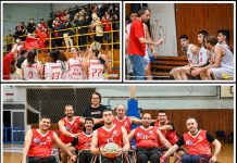 ΜΓΣ Πανσερραϊκός: Η Αγωνιστική Δράση των «Λιονταριών» στα Εθνικά Πρωταθλήματα Μπάσκετ