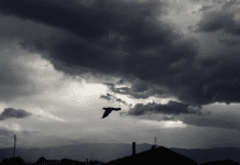 Πρόγνωση καιρού για σήμερα Παρασκευή 30-01-2026 kairos