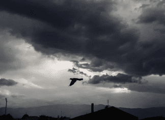 Πρόγνωση καιρού για σήμερα Παρασκευή 30-01-2026 kairos