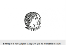 Εσπερίδα του Δήμου Σερρών για τα κατοικίδια ζώα – ευζωία και φροντίδα των ζώων dimos serrvn