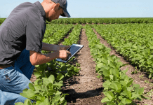 Δεν θα… χτυπάει κάρτα ο αγρότης λέει το υπουργείο, αλλά θα δίνει στίγμα για λήψη επιδοτήσεων young