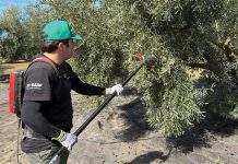 Πλάνο συνδεδεμένης σε ελιά και μέλι, λήγουν τα δικαιώματα, ανοίγει τα χαρτιά του ο Σχοινάς για νέα ΚΑΠ την Τρίτη agr