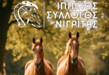 Ιππικός Σύλλογος Νιγρίτας – 17η Πανελλήνια Συγκέντρωση Φίλων Ελεύθερης Ιππασίας 17η Πανελλήνια συγκέντρωση Φίλων Ελεύθερης Ιππασίας