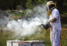 Σέρρες – Λήψη προληπτικών μέτρων από μελισσοκόμους κατά την αντιπυρική περίοδο Σέρρες - Λήψη προληπτικών μέτρων από μελισσοκόμους