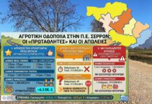 Αγροτική Οδοποιία: «Πρωταθλητές» η Νέα Ζίχνη και ο Εμ. Παππάς, στα αζήτητα με 49 βαθμούς ο Δήμος Σερρών!!!