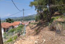 Ολοκληρώθηκε το Πρόγραμμα «AntiNERO IV» στον Δήμο Εμμανουήλ Παππά Πρόγραμμα «AntiNERO IV» στον Δήμο Εμμανουήλ Παππά