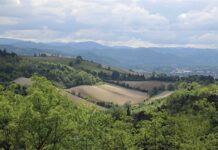 Αναδρομικά μέσα στον Ιούνιο πληρώνονται οι επιδοτήσεις του 2025 για τα αγροτεμάχια τα οποία στο Κτηματολόγιο έβγαιναν ως δημόσια AGROTEMAHIA