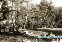 Βασίλης Τζανακάρης ” Τα Σέρρας που έφυγαν” serres