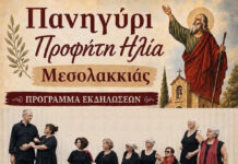 Πανηγύρι του Προφήτη Ηλία στη Μεσολακκιά Σερρών Πανηγύρι του Προφήτη Ηλία στη Μεσολακκιά Σερρών
