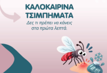 Καλοκαιρινά τσιμπήματα – Τι πρέπει να κάνεις τα πρώτα λεπτά
