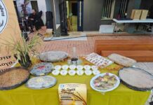 Με επιτυχία πραγματοποιήθηκε η 26η Γιορτή Ρυζιού στον Προβατά Σερρών (βίντεο) 26η Γιορτή Ρυζιού στον Προβατά Σερρών