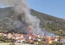 Φωτιά στο Ελαιοχώρι Καβάλας – Μήνυμα από το 112 (βίντεο)